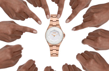 STORM WATCHES